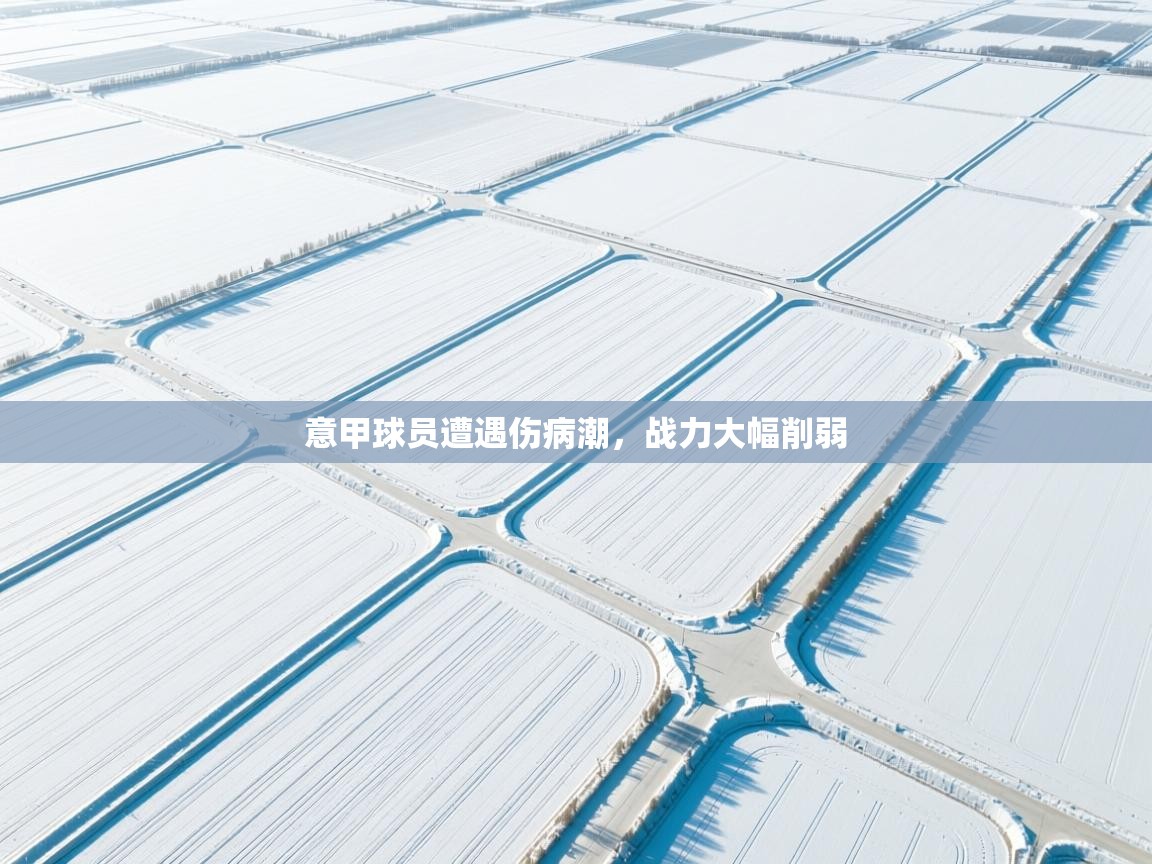 意甲球员遭遇伤病潮，战力大幅削弱  第2张