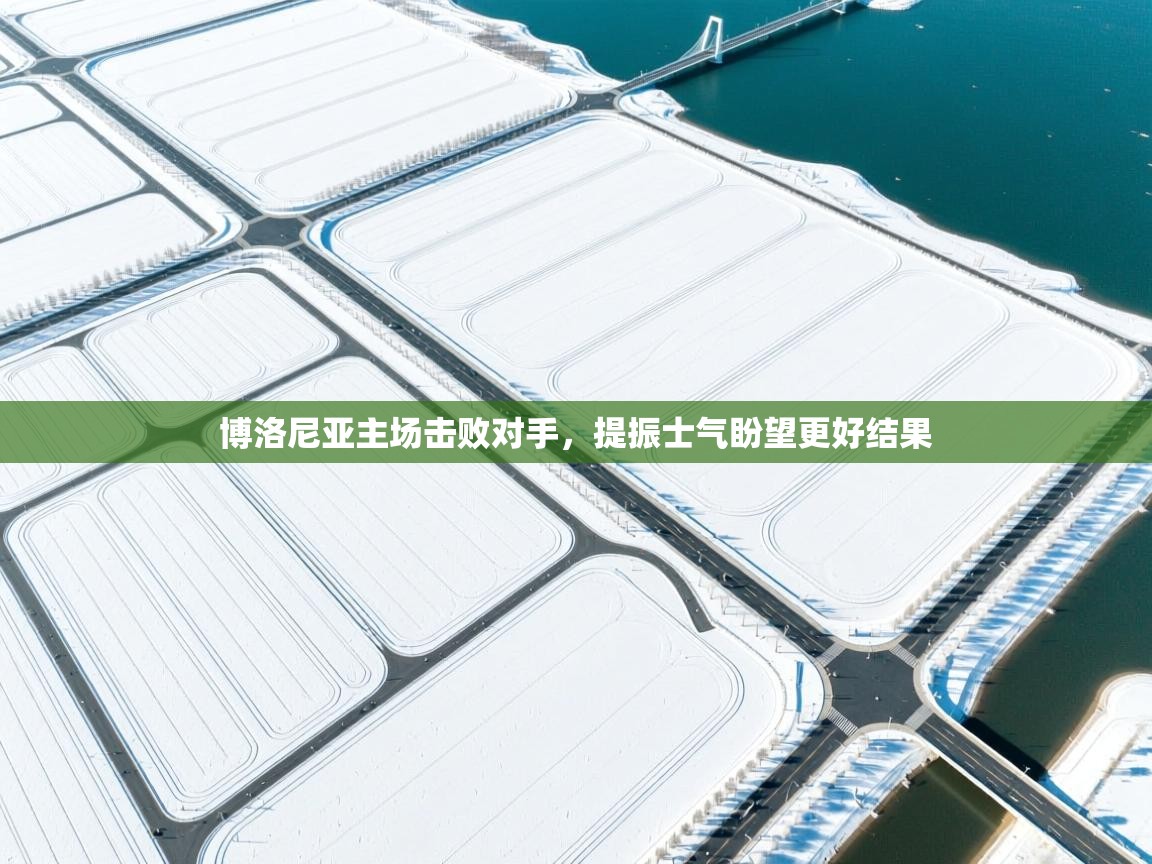 博洛尼亚主场击败对手，提振士气盼望更好结果  第1张