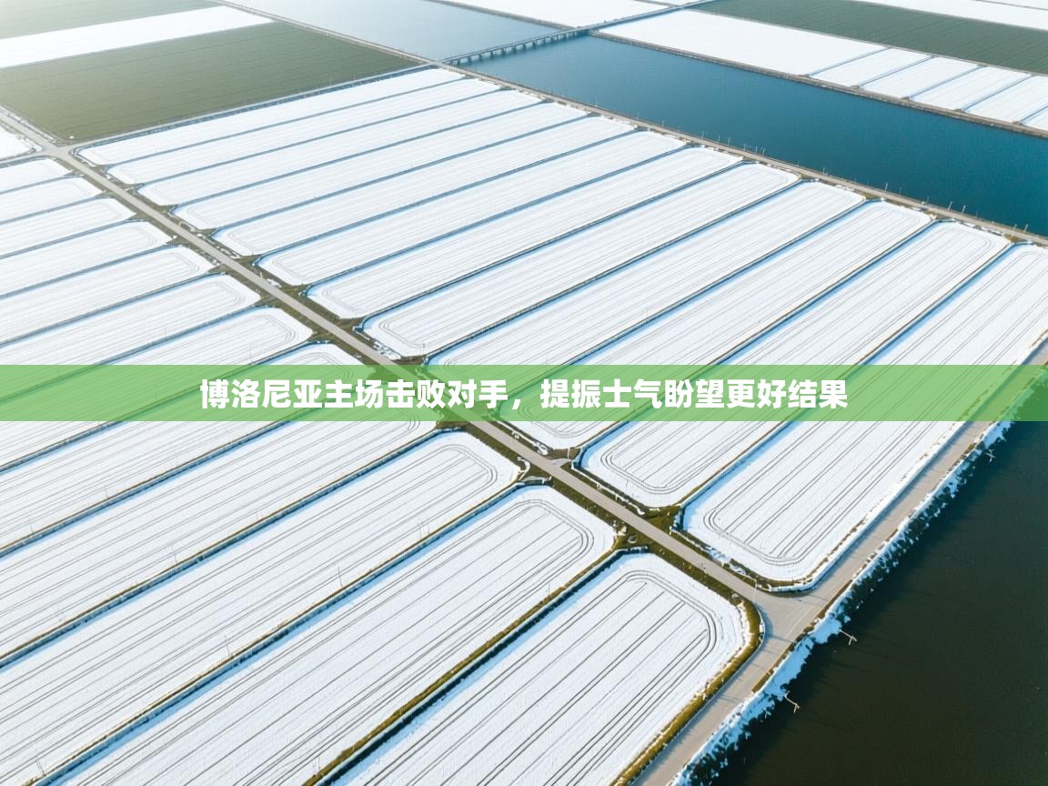 博洛尼亚主场击败对手，提振士气盼望更好结果  第2张