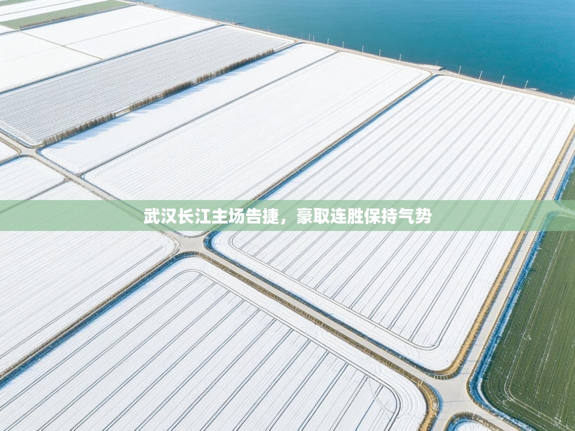 武汉长江主场告捷，豪取连胜保持气势